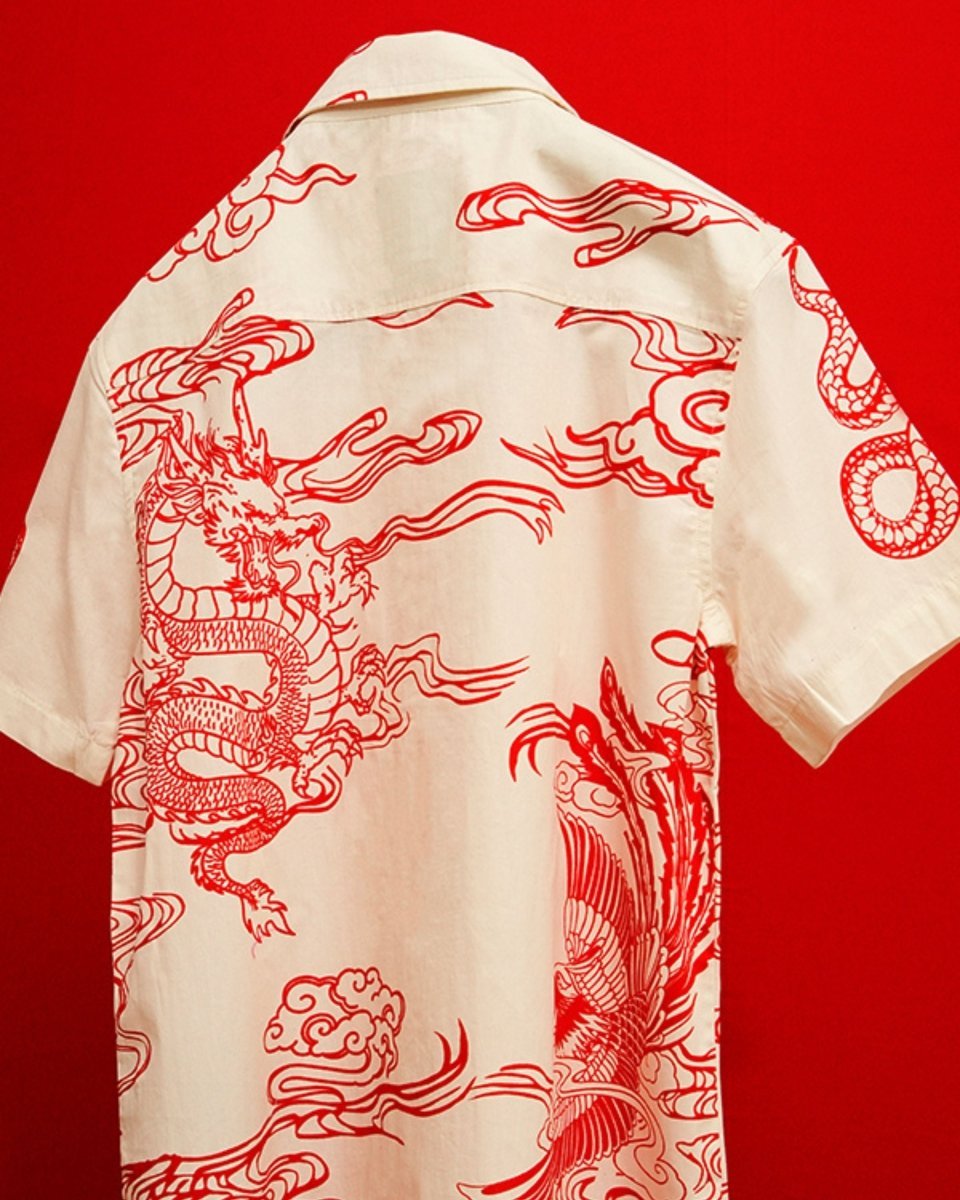 Dragon Printed shirt | Cotton Poplin - Mydesignation